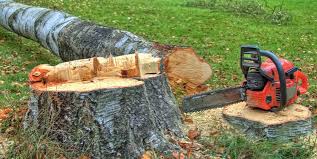 Best Arborist Consultation Services  in Green, OR